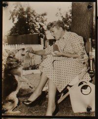 6f304 EVE ARDEN 8 8x10 stills '40s-50s great candid images w/ animals + head & shoulders portraits!