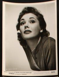 6f495 FELICIA FARR 5 8x10 stills '50s great head & shoulders portraits of the pretty actress!