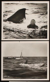 6f442 JAWS 2 6 8x10 stills '78 Roy Scheider, cool shark attack images + director candid!