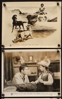 6f320 LION & THE HORSE 8 8x10 stills '52 images of Steve Cochran & Wildfire in the title role!