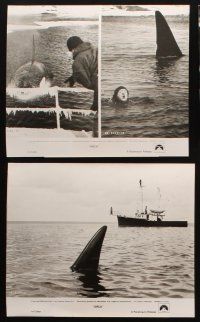 6f339 ORCA 8 8x10 stills '77 Richard Harris, Charlotte Rampling, killer whale!