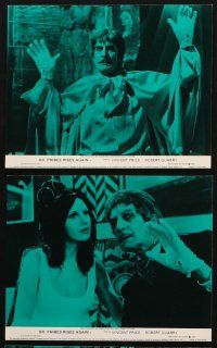 6f114 DR. PHIBES RISES AGAIN 8 color English FOH LCs '72 Vincent Price, Robert Quarry, Peter Cushing