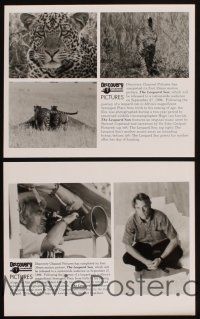 6f090 LEOPARD SON TV presskit w/ 2 stills '96 Africa, Discovery Channel cat documentary!