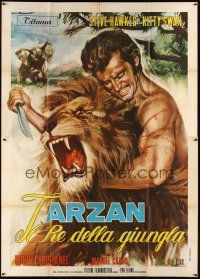 6h075 KING OF THE JUNGLE Italian 2p '69 best Tarantelli artwork of Tarzan rip-off wrestling lion!