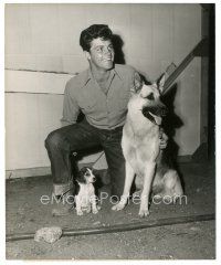6m235 DALE ROBERTSON 8x10 still '52 great candid with his canine costars from Return of the Texan!