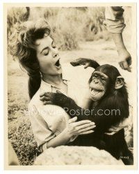 6m486 JOANNA BARNES deluxe 8x10 still '50s great close up clowning around on set with chimpanzee!