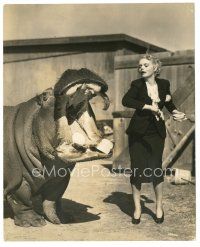 6m628 MARIE WILSON 7.5x9.25 still '40s wacky image feeding Nellie the hippo for publicity!