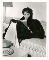 6m781 RHAPSODY 8x10 still '54 Elizabeth Taylor sitting on couch reading a book in her fur coat!