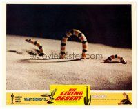 6s566 LIVING DESERT LC R67 first feature-length Disney True-Life adventure, cool coral snake image