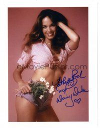 6t517 CATHERINE BACH signed color 8x10 REPRO still '90s super sexy portrait in Daisy Duke outfit!