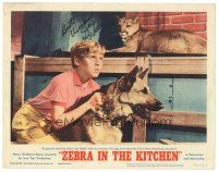 6t287 ZEBRA IN THE KITCHEN signed LC #1 '65 by Jay North, who's w/ German Shepherd & mountain lion!
