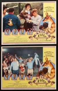 6w890 MATILDA 2 LCs '79 Elliott Gould, wacky Drew Struzan border art of boxing kangaroo!