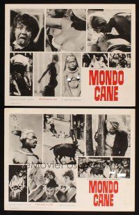 6w897 MONDO CANE 2 LCs '62 classic early Italian documentary of human oddities!