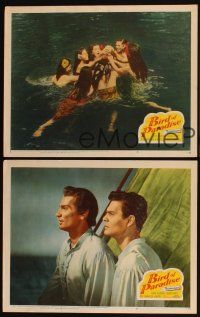 6w558 BIRD OF PARADISE 3 LCs '51 barechested Louis Jourdan & tropical sexy Debra Paget!