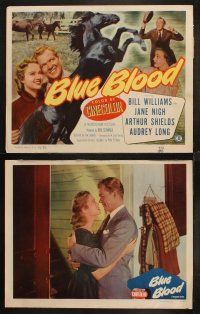 6w050 BLUE BLOOD 8 LCs '51 Bill Williams, Jane Nigh, great horse racing & black stallion images!