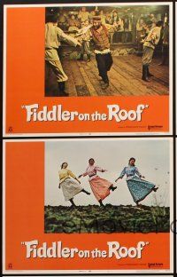 6w335 FIDDLER ON THE ROOF 5 LCs '71 Topol, Norma Crane, Leonard Frey, directed by Norman Jewison!