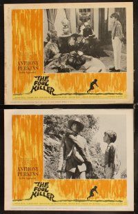 6w118 FOOL KILLER 8 LCs '65 cool images of Anthony Perkins, Edward Albert, Dana Elcar!