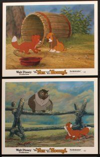 6w290 FOX & THE HOUND 6 LCs '81 two friends who didn't know they were supposed to be enemies!