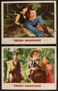 6w621 GREEN MANSIONS 3 LCs '59 Audrey Hepburn, Anthony Perkins & Lee J. Cobb!