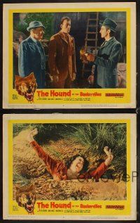 6w450 HOUND OF THE BASKERVILLES 4 LCs '59 Peter Cushing, Christopher Lee, woman in quicksand!