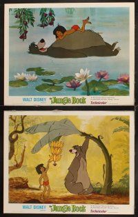 6w252 JUNGLE BOOK 7 LCs R78 Walt Disney cartoon classic, great image of Mowgli & friends!
