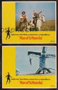 6w155 MAN OF LA MANCHA 8 int'l LCs '72 Peter O'Toole, Sophia Loren, story of Don Quixote!