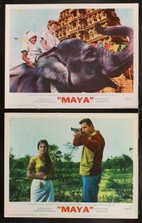 6w257 MAYA 7 LCs '66 John Berry directed, Clint Walker & Jay North, cool elephant images!