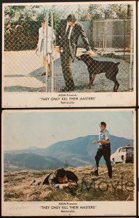 6w384 THEY ONLY KILL THEIR MASTERS 5 LCs '72 James Garner & Doberman Pincer dog, Katharine Ross!
