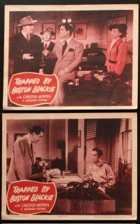 6w310 TRAPPED BY BOSTON BLACKIE 6 LCs '48 detective Chester Morris in title role!