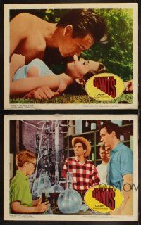 6w536 VILLAGE OF THE GIANTS 4 LCs '65 Tommy Kirk, Johnny Crawford, Ron Howard!