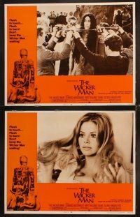 6w243 WICKER MAN 8 LCs '74 Christopher Lee, Britt Ekland, cult horror classic!