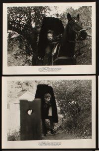6z349 CURSE OF THE HEADLESS HORSEMAN 14 8x10 stills '72 Proctor, Ultra Violet, wacky horror images!