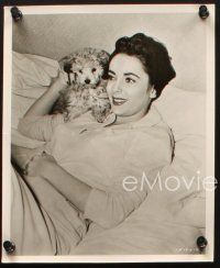 6z872 FATHER'S LITTLE DIVIDEND 3 8x10 stills '51 great candids of Elizabeth Taylor & her cute dog!