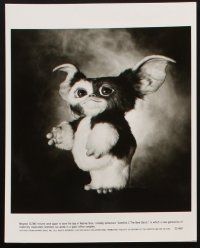 6z486 GREMLINS 2 9 8x10 stills '90 wonderful different images of Gizmo & wacky monsters!