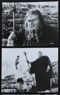 6z448 OEDIPUS THE KING 10 7.5x9.5 stills '68 Christopher Plummer, Orson Welles, Lilli Palmer