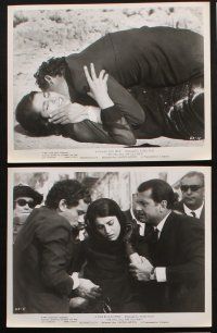 6z682 WE STILL KILL THE OLD WAY 7 8x10 stills '67 Gian Maria Volonte, Irene Papas, Italian Mafia!
