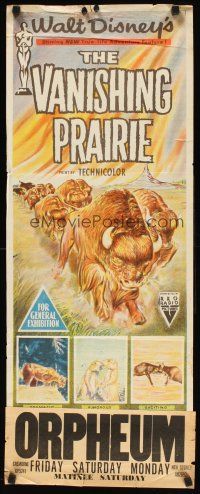 7c955 VANISHING PRAIRIE Aust daybill '54 Disney True-Life Adventure, art of stampeding buffalo!
