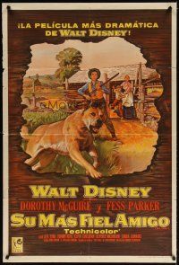 7g097 OLD YELLER Argentinean '57 Dorothy McGuire, Fess Parker, art of Disney's classic canine!