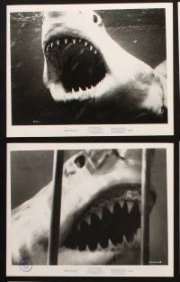 7j015 BLUE WATER, WHITE DEATH 16 8x10 stills '71 close images of great white shark & scuba divers!