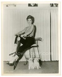 7j603 CLAIRE KELLY deluxe 8x10 still '50s sexy portrait doing exercises by her cute dogs!