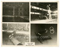 7j636 DICK BERG & THE MOVIELAND SEALS 8x10 still '50s wonderful images performing cool tricks!