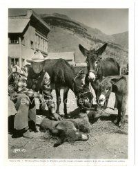 7j909 NIGHT PASSAGE candid 8x10 still '57 James Stewart poses with four burros eating their lunch!