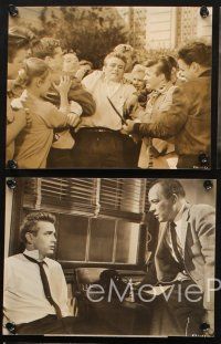 7j217 REBEL WITHOUT A CAUSE 5 7.25x9.5 stills '55 James Dean in Nicholas Ray classic!!
