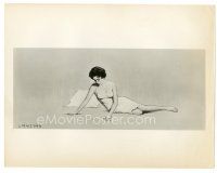 7s191 CAT ON A HOT TIN ROOF 8x10 still '58 classic artwork of Elizabeth Taylor as Maggie the Cat!