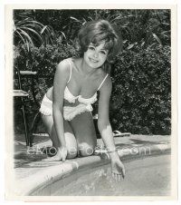 7s242 DEBORAH WALLEY 8x9 news photo '62 sexy swimsuit c/u, she wants to leave Columbia for Disney!