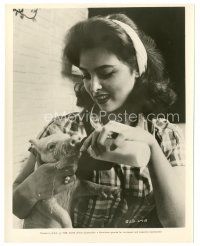 7s913 TINA LOUISE 8x10 still '58 great close up feeding milk to a baby pig with a bottle!