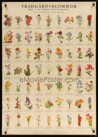 7x464 TRADGARDSBLOMMOR Swedish special 28x40 '51 cool image of garden flower collection!
