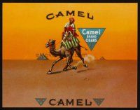 7y268 CAMEL BRAND CIGARS tobacco crate label '30s cool art of guy on camel in desert by pyramid!