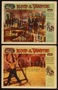 8a844 BLOOD OF THE VAMPIRE 2 LCs '58 Donald Wolfit begins where Dracula left off, Barbara Shelley!