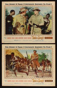 8a888 DUEL IN THE JUNGLE 2 LCs '54 Dana Andrews & David Farrar with African natives!